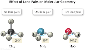 <p>Lone Pairs affect Molecular Geometry by…</p>