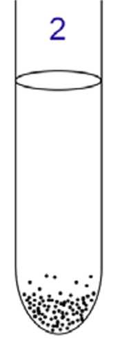 <p>Obligate anaerobe </p>