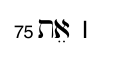 term image