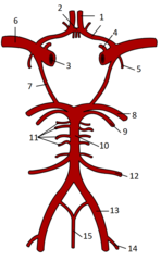 <p>8</p>