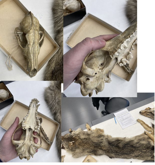 <p>What is this?</p>