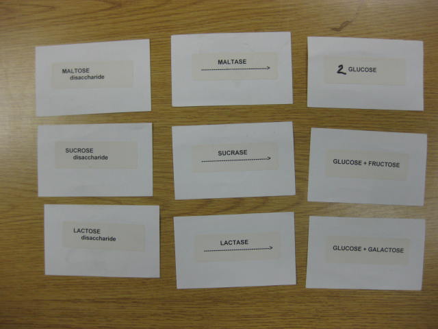 knowt flashcard image