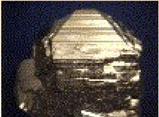<p>FeS<sub>2</sub></p>