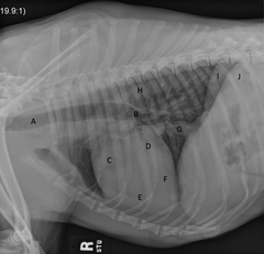 <p>What is H?</p>
