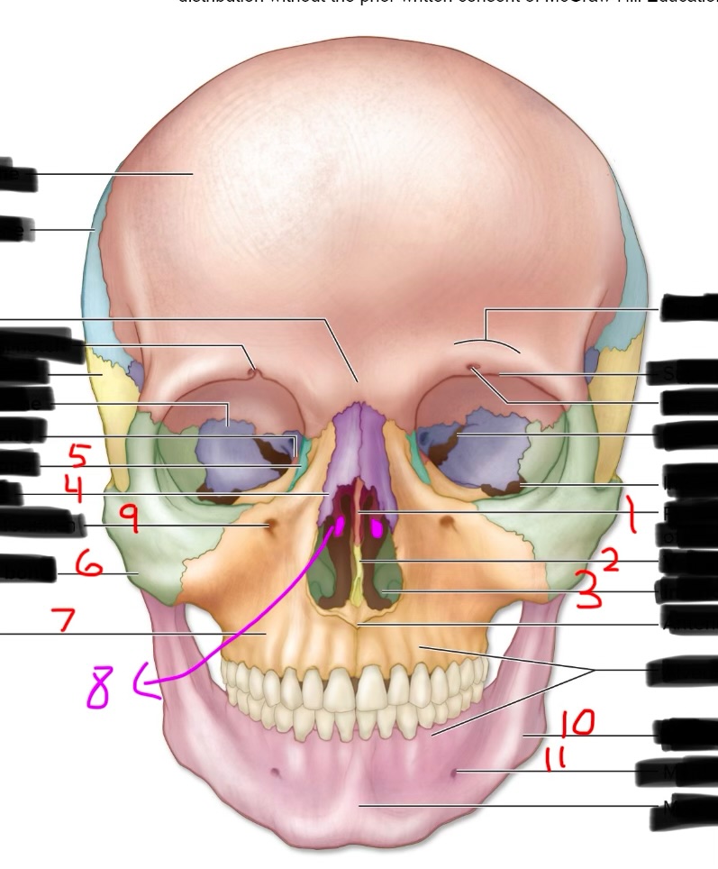 <p>8</p>