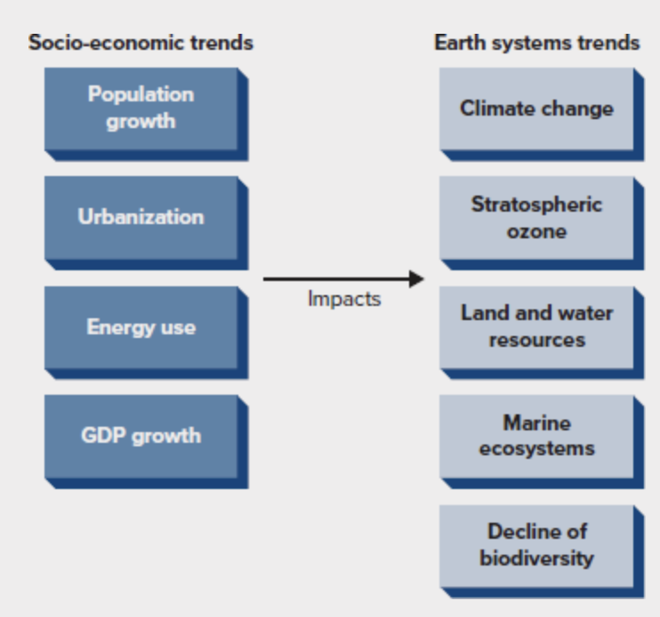<p>the rapid intensification of human impacts on the environment from 1750 to 2010</p>
