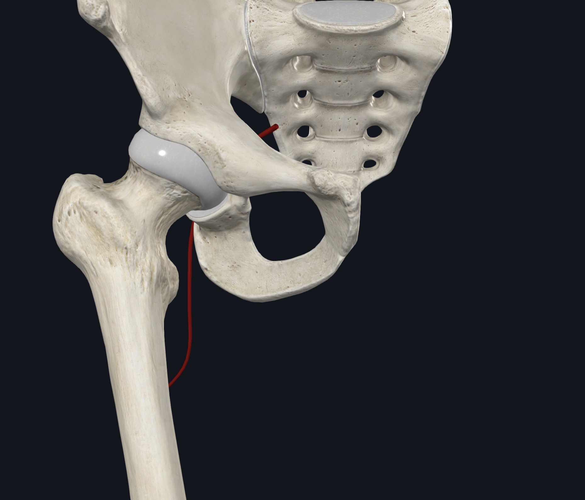 <p>¿Qué es esto?</p>