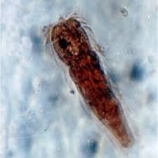 <p>What is this?</p>