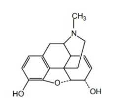 <p><strong>IDENTIFY THE STRUCTURE OF TYPICAL ALKALOIDS:</strong></p>