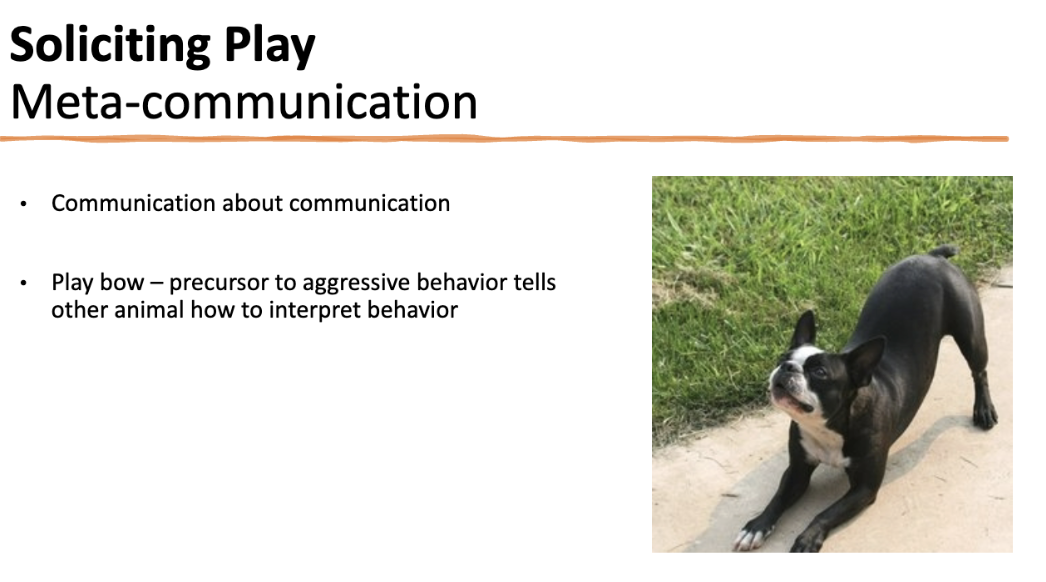 <p>info card on play communication and flip for alarm communication </p>