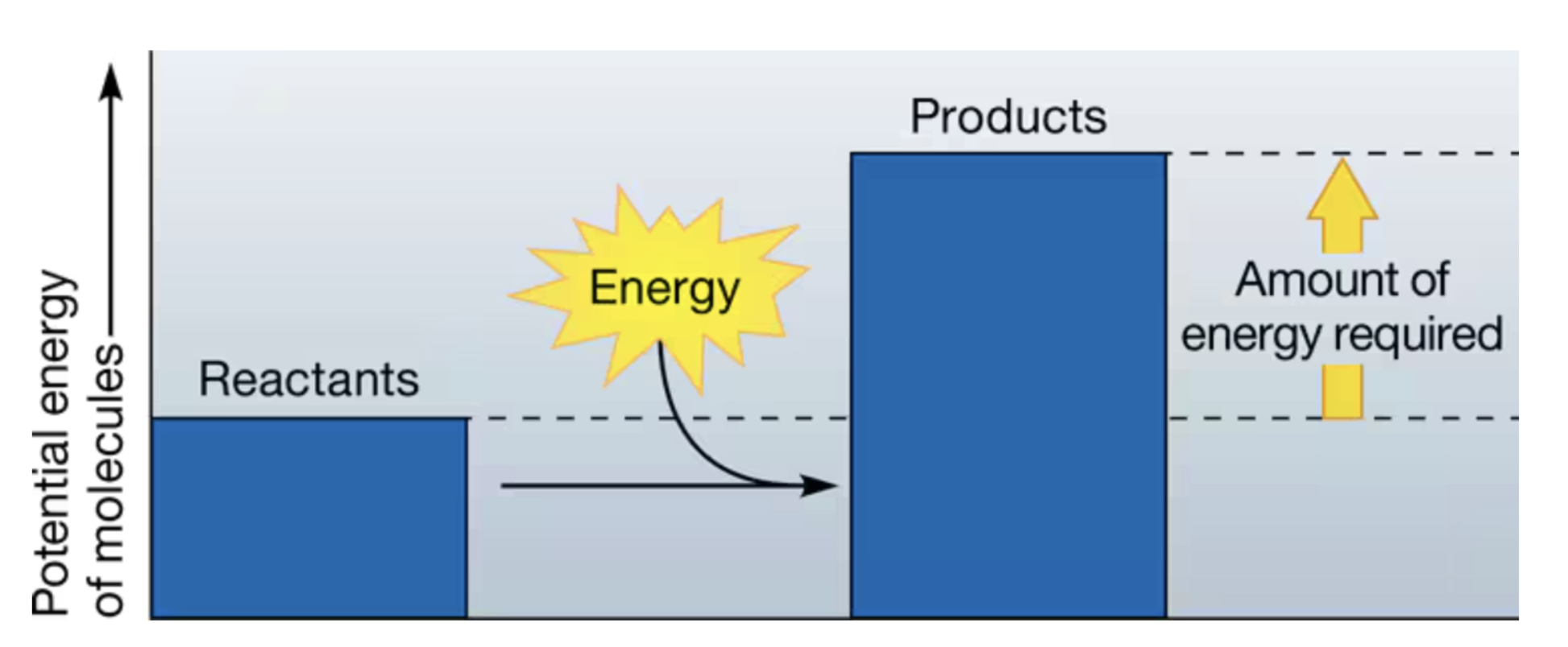 <p>require energy; products with higher potential energy</p>