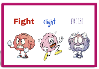 <p>Stress Response</p>