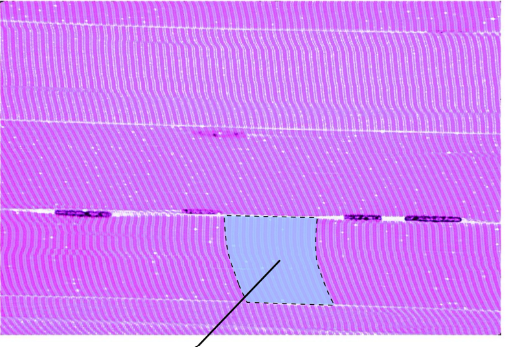 <p>What is the highlighted portion</p>