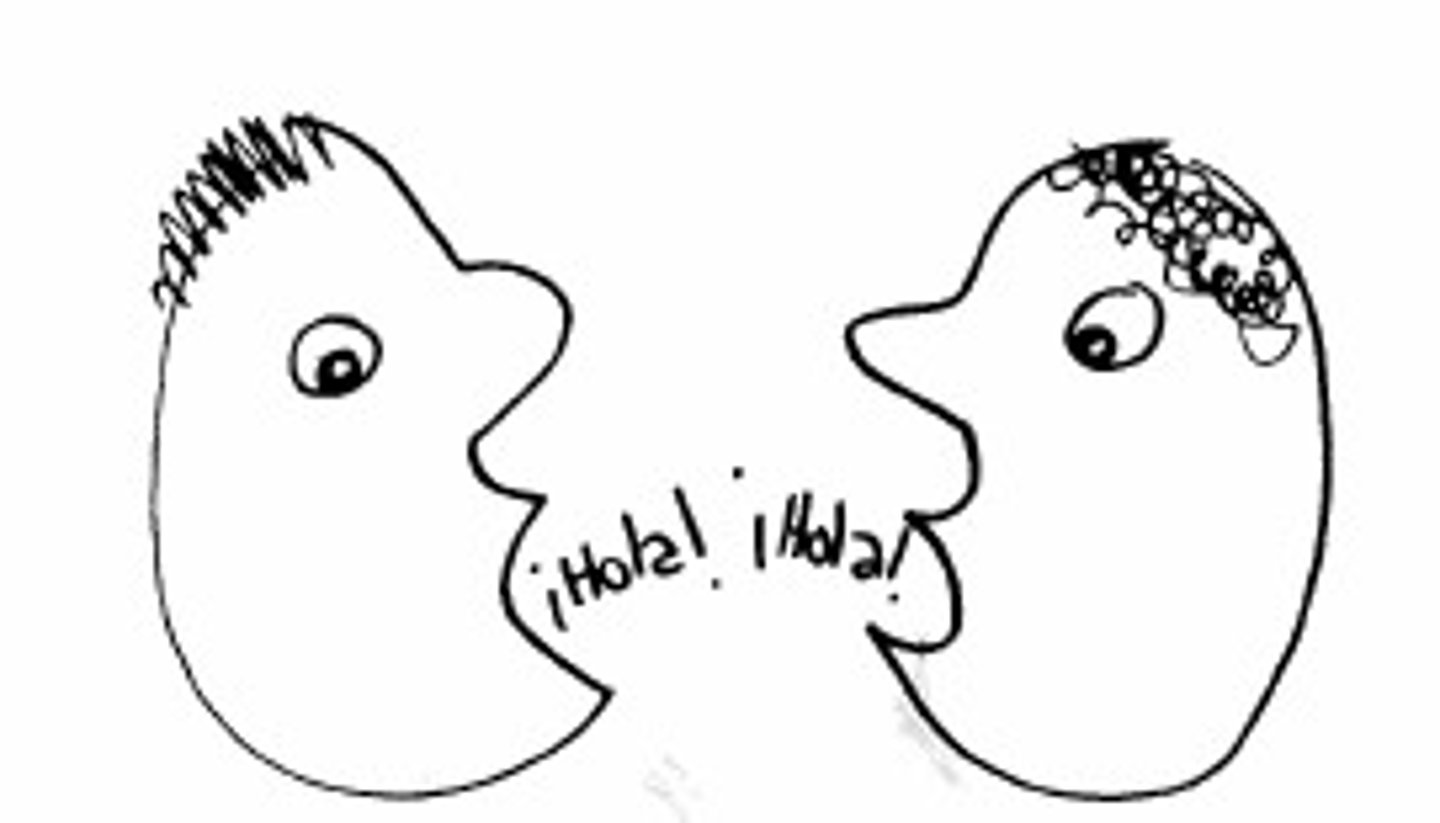 <p>he/she responds to him/her</p>