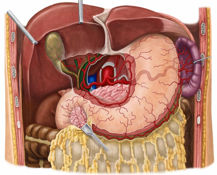 term image
