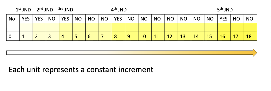 <p>Webers law</p><ul><li><p>Constant increments in stimulus intensity produce smaller and smaller increases in the perceived MAGNITUDE OF SENSATION</p></li></ul><p></p>