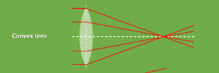 <p>Converging lenses</p>