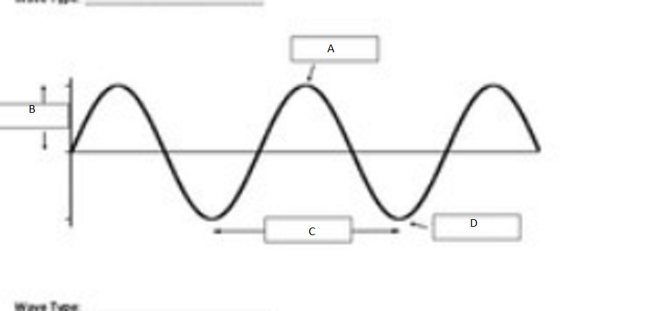 <p>What is labeled B in the following diagram:</p>