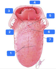 <p>What is at 5?</p>