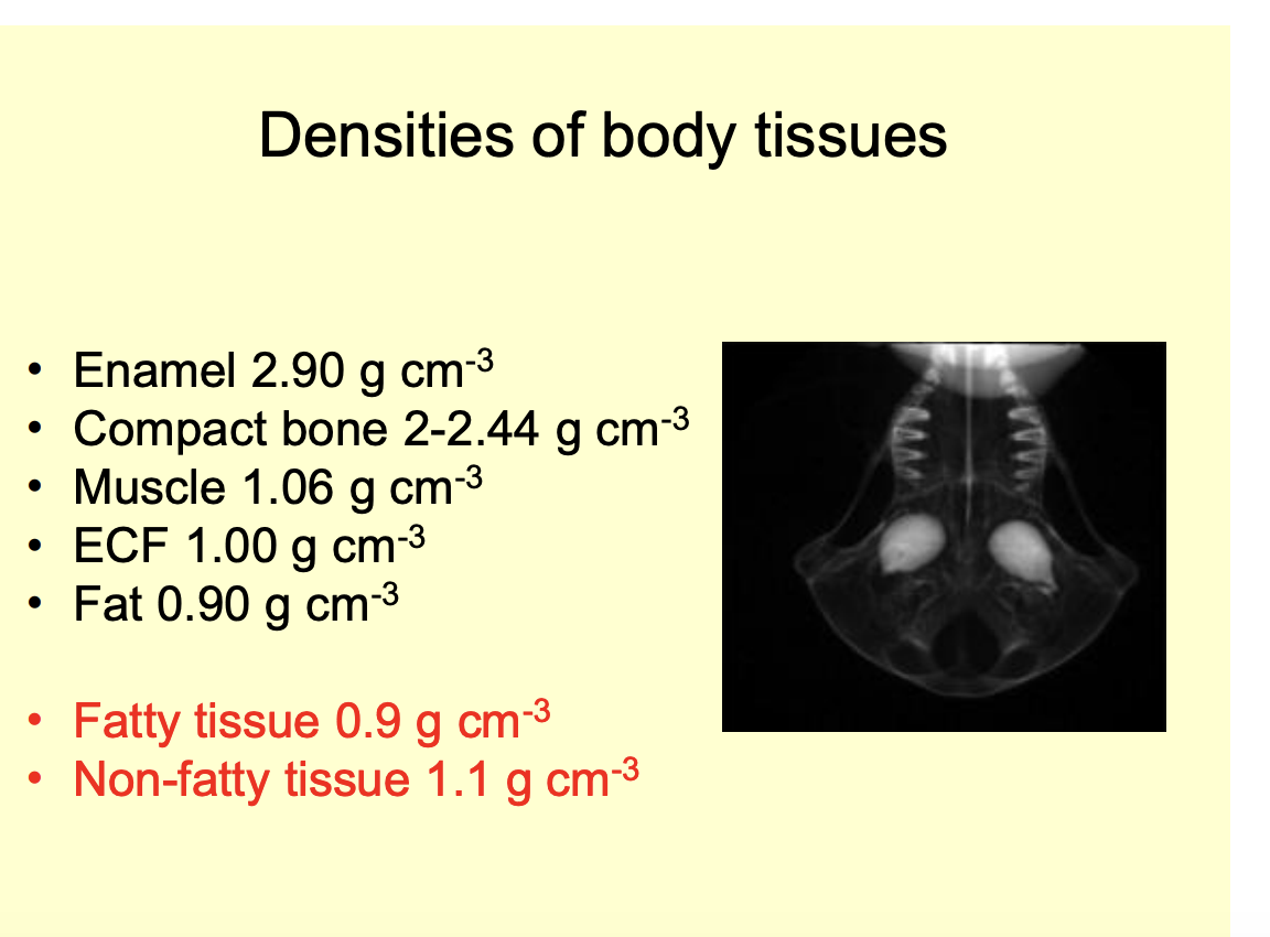 <ol start="2"><li><p>How does this work?</p></li></ol><p></p>