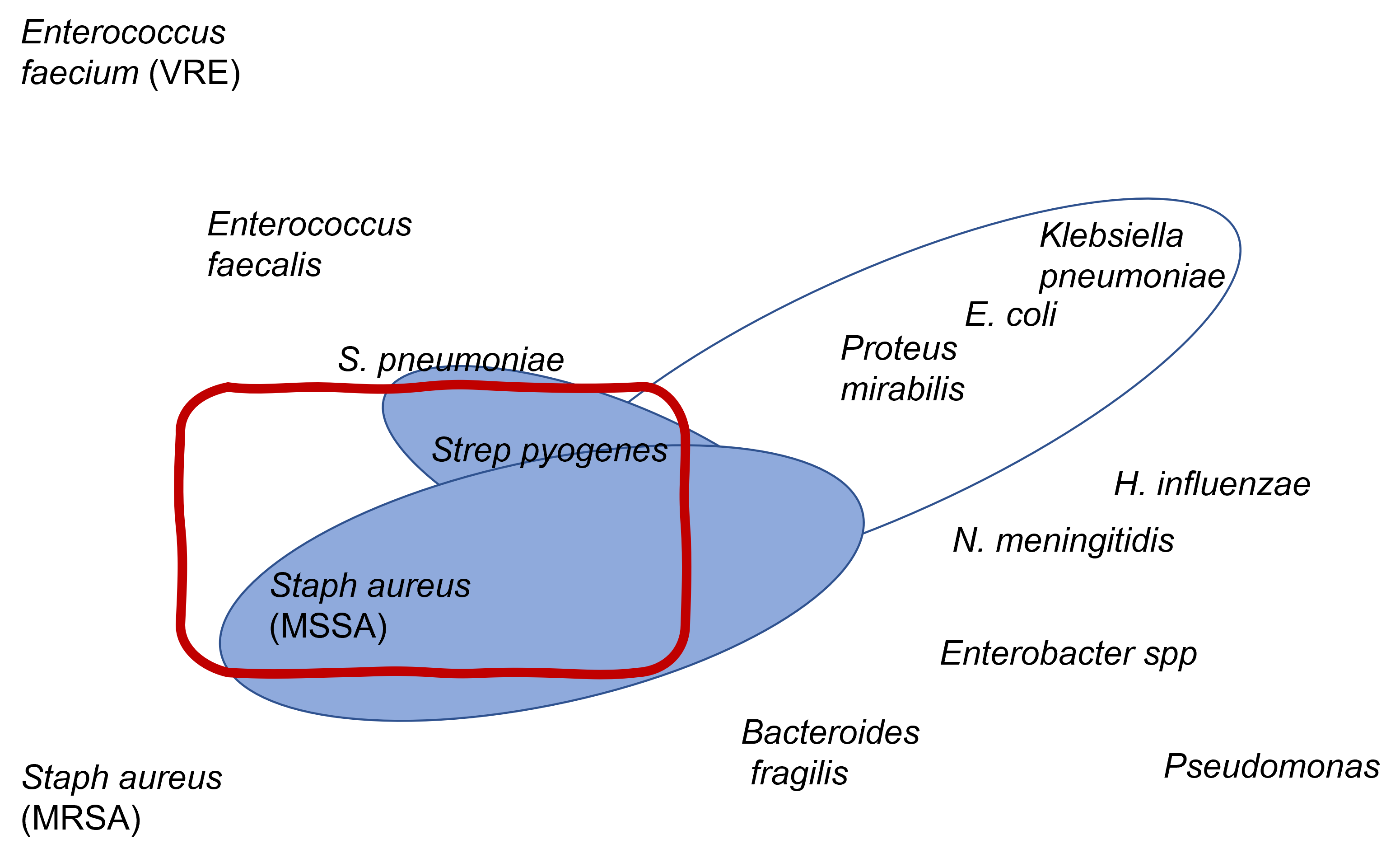<p>name of the drug</p>