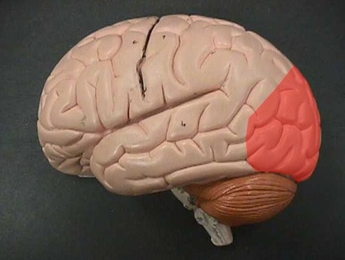 <p></p>