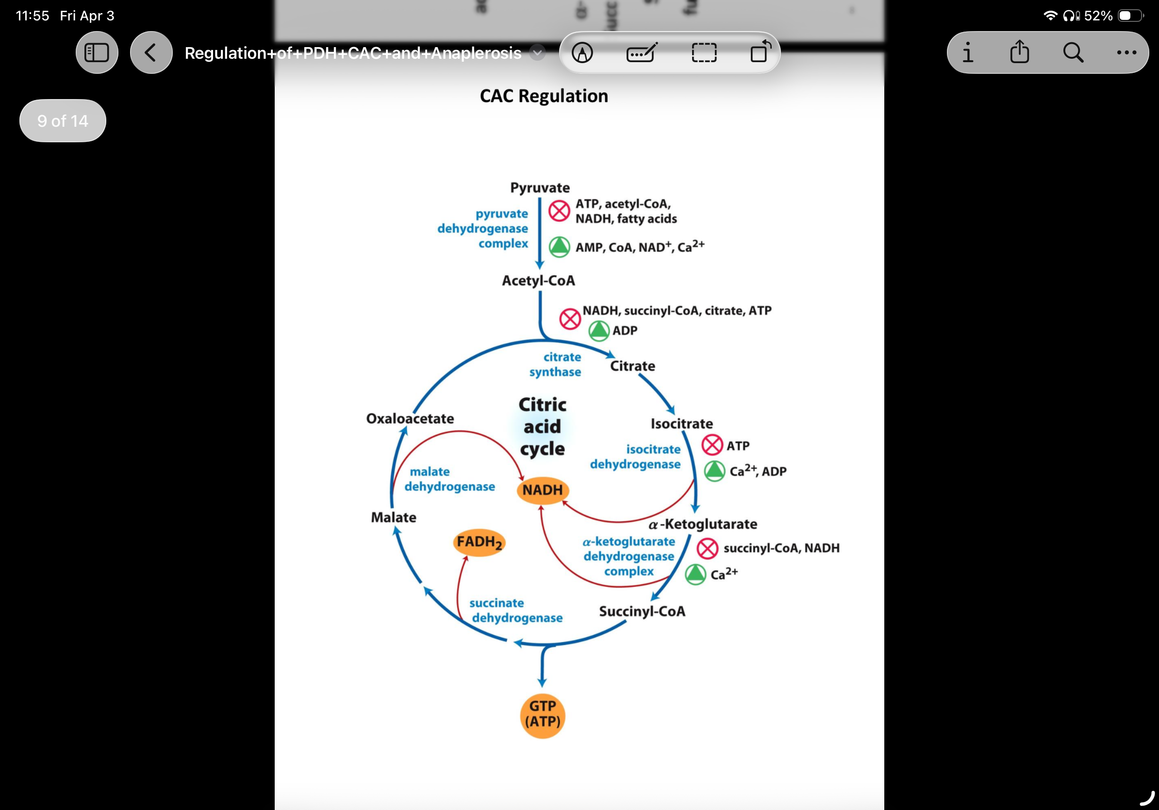 knowt flashcard image