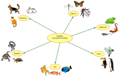 <p>(n - pl) groups of people or things of a similar type</p><p>Example: There are two ___________ of reasons why people move: push factors and pull factors.</p>