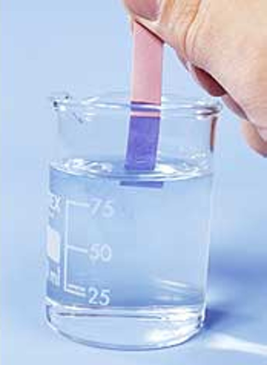 <p>A compound that changes color in the presence of an acid or a base</p>