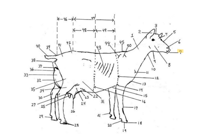 knowt flashcard image