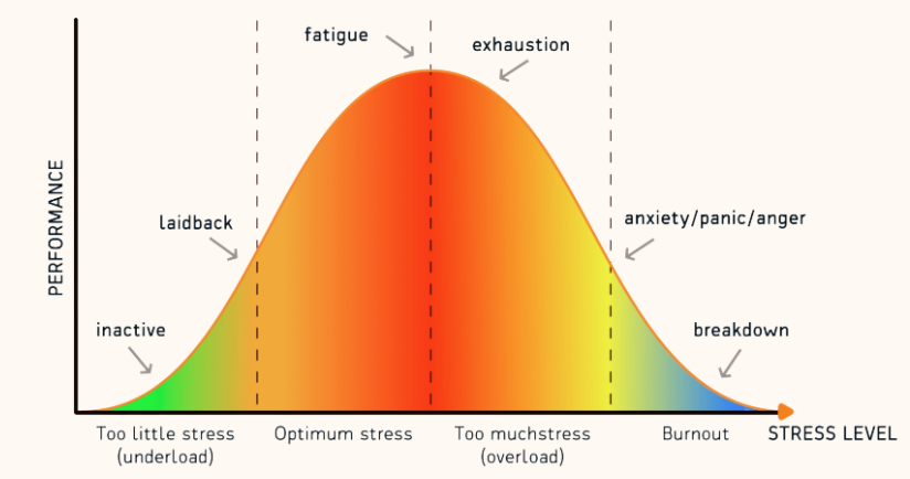 <p><span>We don't just want "zero" drive; we want the right amount of excitement.</span></p><p><span>Yerkes-Dodson law- a principle that performance increases with arousal only up to a point, beyond which performance decreases.</span></p><p><span>ex) When test taking you want to be alert but not shaking with nervousness </span></p>