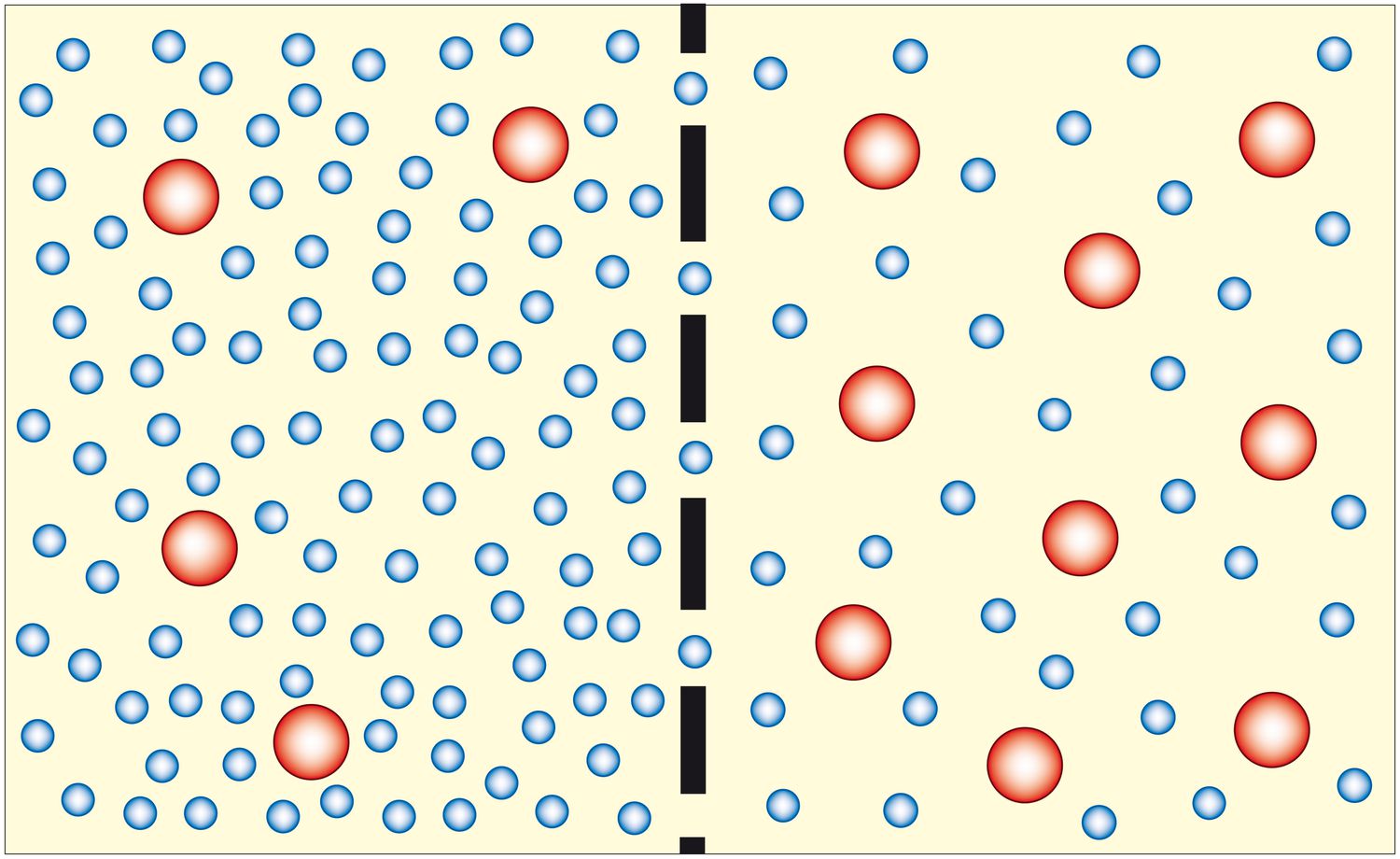 osmoregulatory organelle