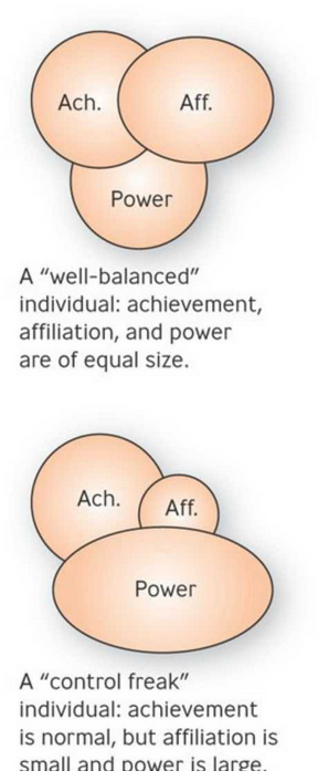 <p>Acquired Needs Theory </p><ul><li><p>states that three needs - achievement (desire to excel), affiliation(desire for friendly relations), and power(desire to be responsible for other people) - are major motives determining people’s behavior in the workplace</p></li></ul><p></p><ul><li><p>2 assumptions: </p><ul><li><p>needs are learned </p></li><li><p>one need often dominates </p></li></ul></li><li><p>appeal to prefernces associated with each need </p></li></ul><p></p>