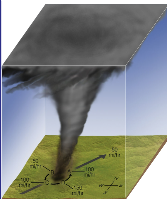 <p>• If facing a __ the strongest winds will be on the left side</p><p>• A __ approaching from the SW heading NE</p><p>— If it is going 50 mph with a 100 mph rotational speed</p><p>— The forward speed will add 50 mph to the SE side (position D)</p><p>— Subtract 50 mph from the NW side (B)</p><p>• Most destruction = SE</p>