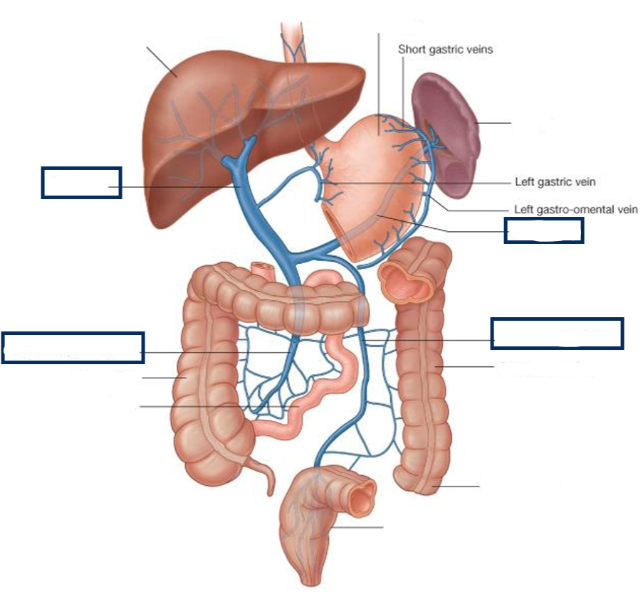 <p>Label the following diagram</p>