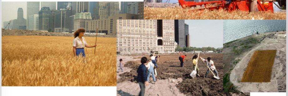 <ul><li><p>horizontal field vs. vertical city</p></li><li><p>158 dollars worth of the cereal grain on land valued at 4.5 billion dollars </p></li><li><p>a leisurely wheatfield vs. an island of achievement-craze culture & decadence</p></li><li><p>a city of competence, sophistication & crime vs. an open field & unspoiled farmlands</p></li><li><p>everlasting vs. forever changing</p></li><li><p>recently: work contributes to the system it critisises → agriculture + colonisation </p></li></ul><p></p>