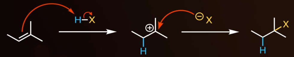 <p><span style="background-color: transparent;">H bonds to less substituted carbon to make the carbocation more stable.</span></p><p><span style="background-color: transparent;">X = halogen</span></p><ul><li><p><span style="background-color: transparent;">Exception: HBr + ROOR = anti-markovnikov product.</span></p></li></ul><p></p>