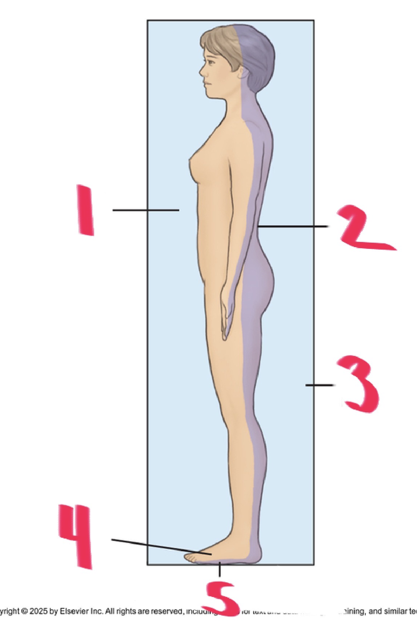 <p>5</p>