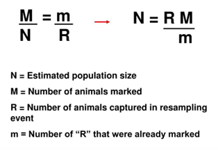 <p>Imagine that you tag and release 15 birds, and when you collect 15 birds later that year, only one of them is tagged. What is your estimate of the total population size?</p>