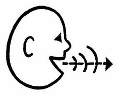 <p>person shuō dē huà</p><p>what the person said</p><p>(what mom said/ what teacher said/ what you said/ what he says..)</p>