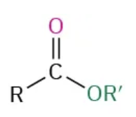 <p>-oate</p><p>substituent: -carboxylate</p>