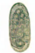 <p>identify</p>