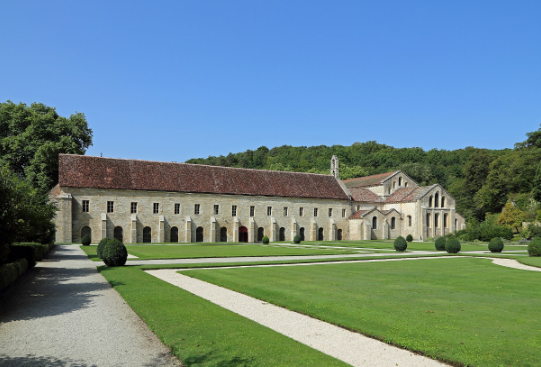 term image