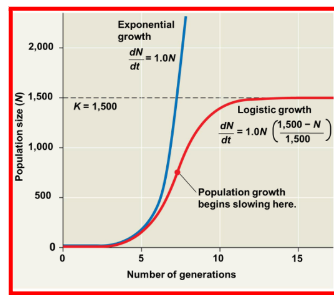 <ul><li><p><strong>Nature:</strong> This is <strong>density-dependent</strong> growth, which is a more realistic model for most natural populations.</p><p></p></li><li><p><strong>Constraints:</strong> Growth is limited by factors such as <strong>limited resources</strong>, <strong>predators</strong>, and <strong>pathogens</strong>.</p><p></p></li><li><p><strong>Key Concept:</strong> Incorporates <strong>Carrying Capacity (</strong><span style="line-height: 1.15;"><strong>K</strong></span><strong>)</strong>, the maximum population size that a specific environment can sustain.</p><p></p></li><li><p><strong>Behavior:</strong> The per capita rate of growth approaches zero as the population size (<span style="line-height: 1.15;">N</span>) nears <span style="line-height: 1.15;">K</span></p></li><li><p><span style="line-height: 1.15;">Equation: dN/dt= rN (K-N)/K</span></p></li></ul><p></p>