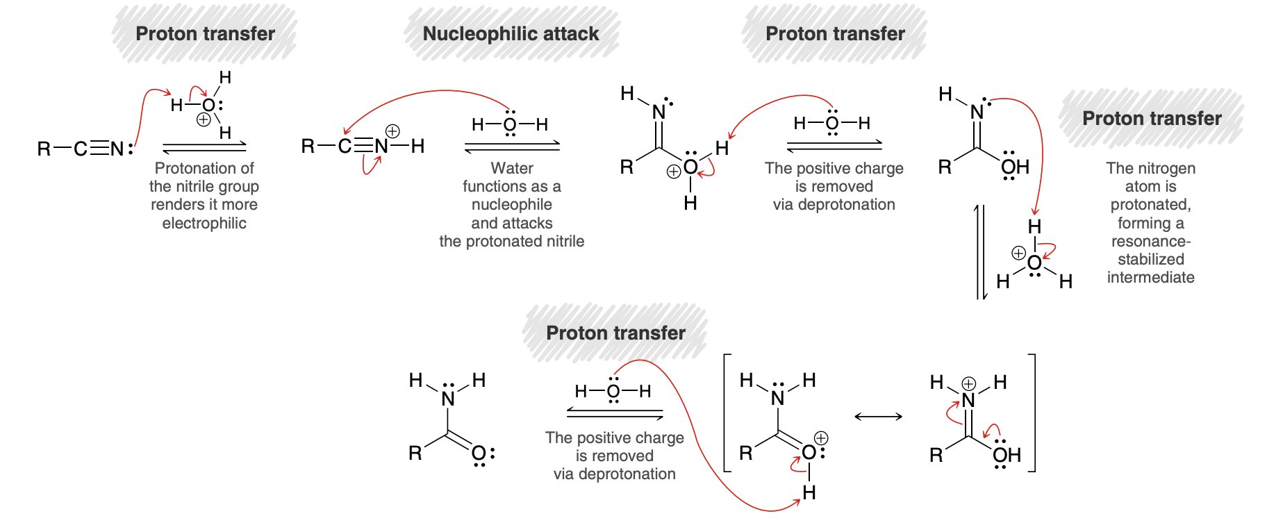 <p>First part; second part of amide to carboxylic acid is in previous notecard</p>