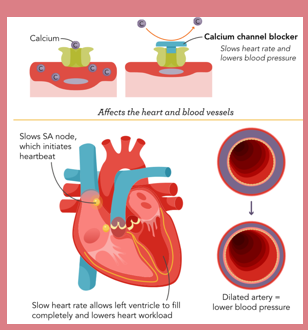 <p>Nifedipine MO</p>