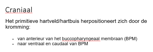 <p>van anterieur van de bccopharyngeale membraan (BPM) naar ventraal en caudaal van de BPM.</p>