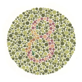 <p><span style="font-family: "Tw Cen MT";">Involves the brain grouping colours and shapes together based on their similarities and differences, so that we can distinguish an image.</span></p><ul><li><p>Here, out brain groups the green circles and the yellow circles together so that we can perceive the image as the number 8.</p></li></ul><p></p>