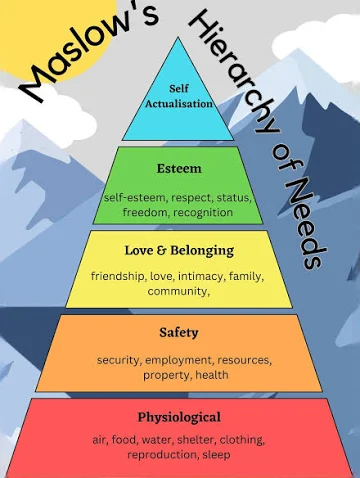 <p>Needs: physiological —> safety —> social —> esteem —> self-actualization</p><p></p><p>*hierarchy pyramid works bottom to up!</p>