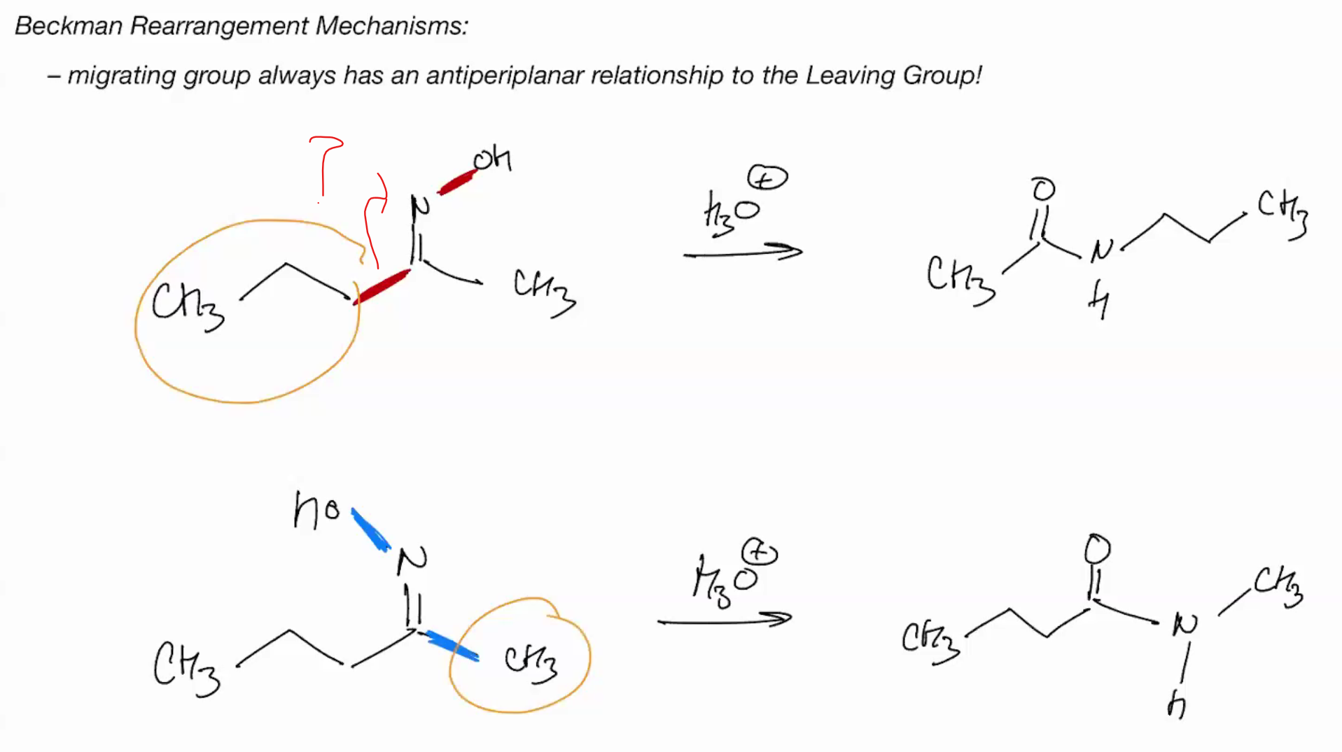 <p>For becker migrating group always has anti pariplanar to leaving group</p>